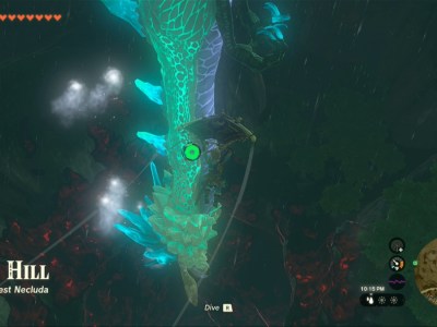 Totk Goddess Of Wisdom Sniping Naydras Claw