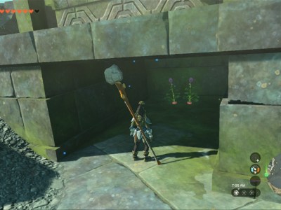 Totk Hearty Radish On Wellspring Island