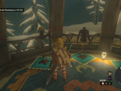 Totk Snowquill Armor Shopping In Rito Village