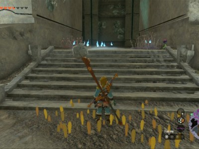 Totk Spirit Temple Entrance Link At Steps Closeup