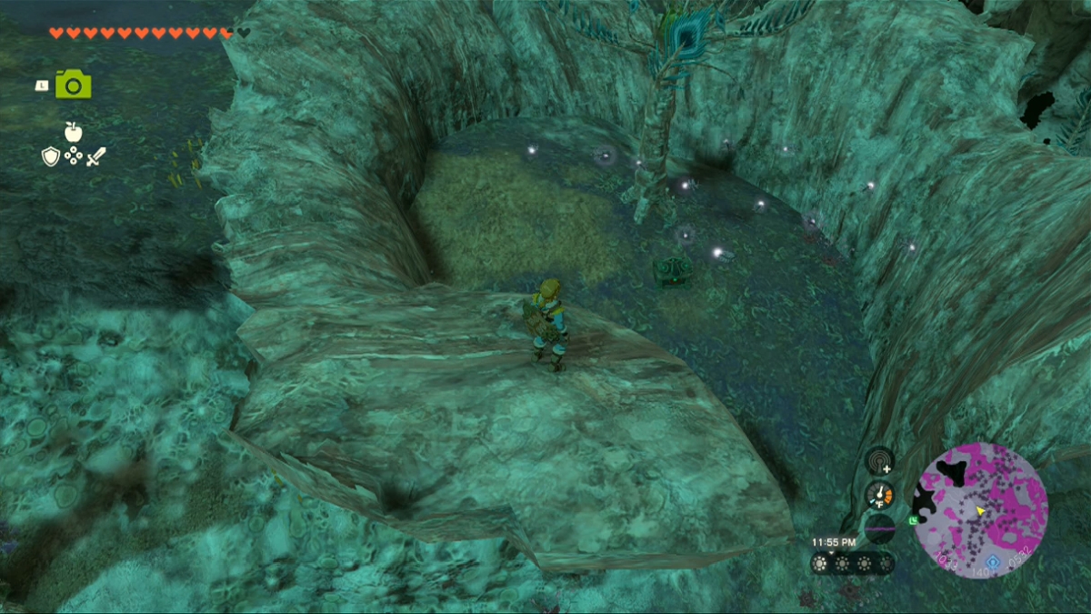 Totk Tunic Of The Sky Treasure Chest Near Evermean Enemy In The Depths