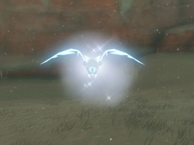 Where To Find And Farm Ice Keese In Tears Of The Kingdom Totk