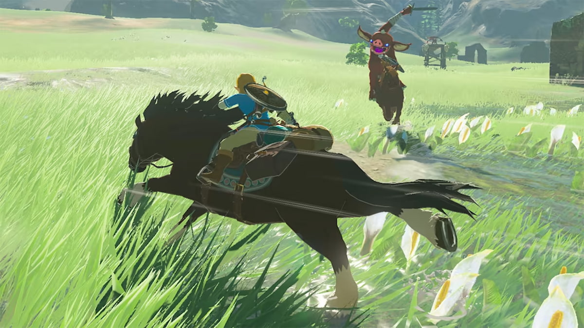 Breath Of The Wild Horse Battle Tears Kingdom