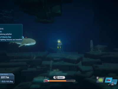 How To Find The Childrens Ball In Dave The Diver