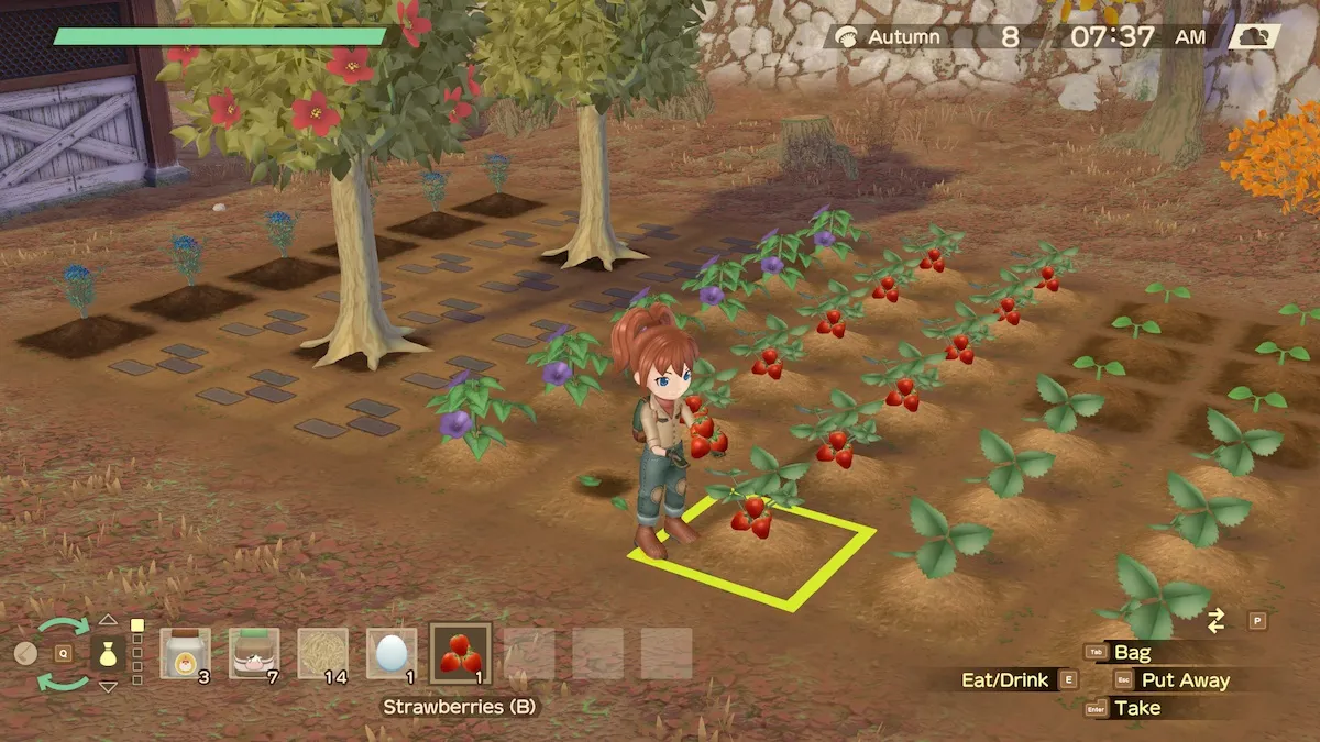 Story Of Seasons A Wonderful Life How Long To Grow All Crops
