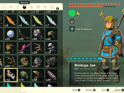 Tears Of The Kingdom Molduga Jaws Inventory Screen