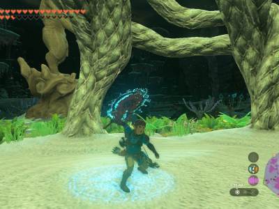 Tears Of The Kingdom Parry Shield Sword