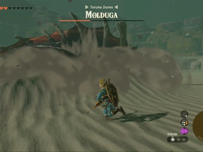 Totk Gerudo Desert Molduga Battle Closeup