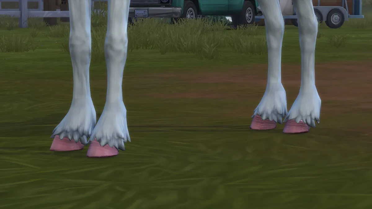 10 Best Mods For The Sims 4 Horse Ranch Hooves
