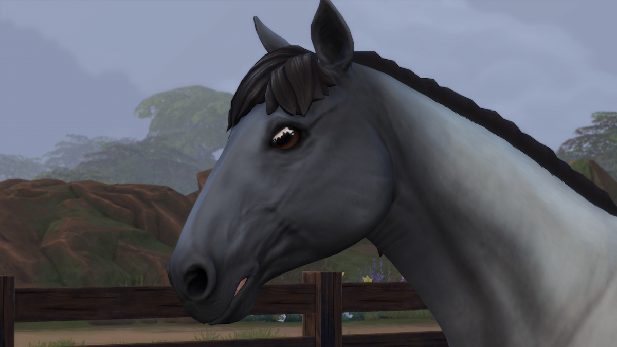 10 Best Mods For The Sims 4 Horse Ranch Mirror Mirror