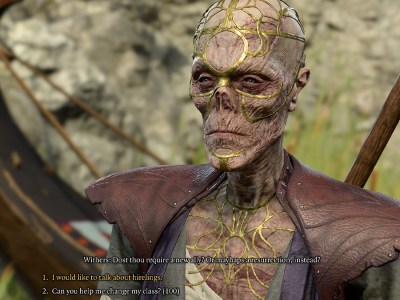 Baldurs Gate 3 Withers