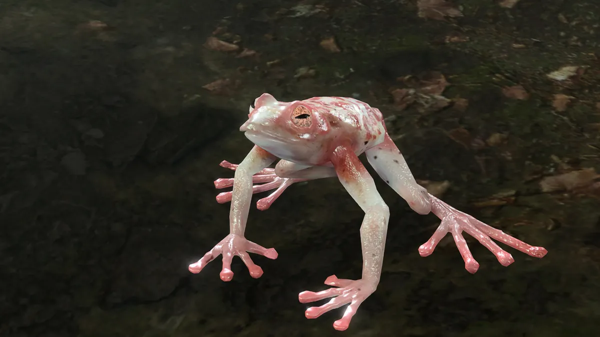 Baldurs Gate 3 Addled Frog Featured