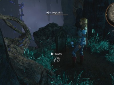 Baldurs Gate 3 Dog Collar Resting Near Tombstone In Dread Hollow