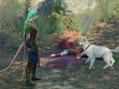 Baldurs Gate 3 How To Get The Owlbear Cub And Scratch The Dog