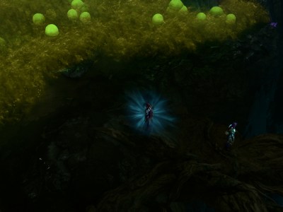 Baldurs Gate 3 Noblestalk Destroying The Mushrooms