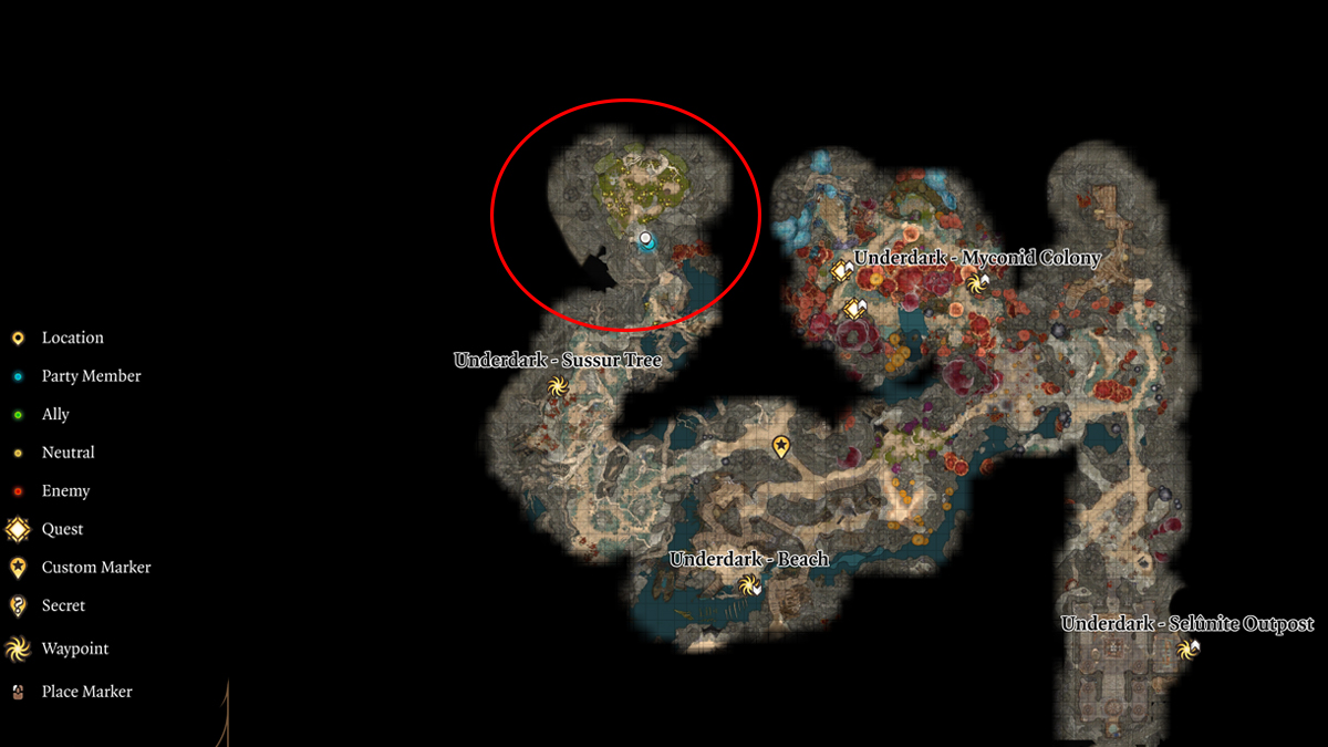 Карта Baldurs Gate 3 Noblestalk