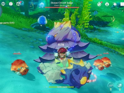 How To Beat Ocean Circuit Judge In Genshin Impact