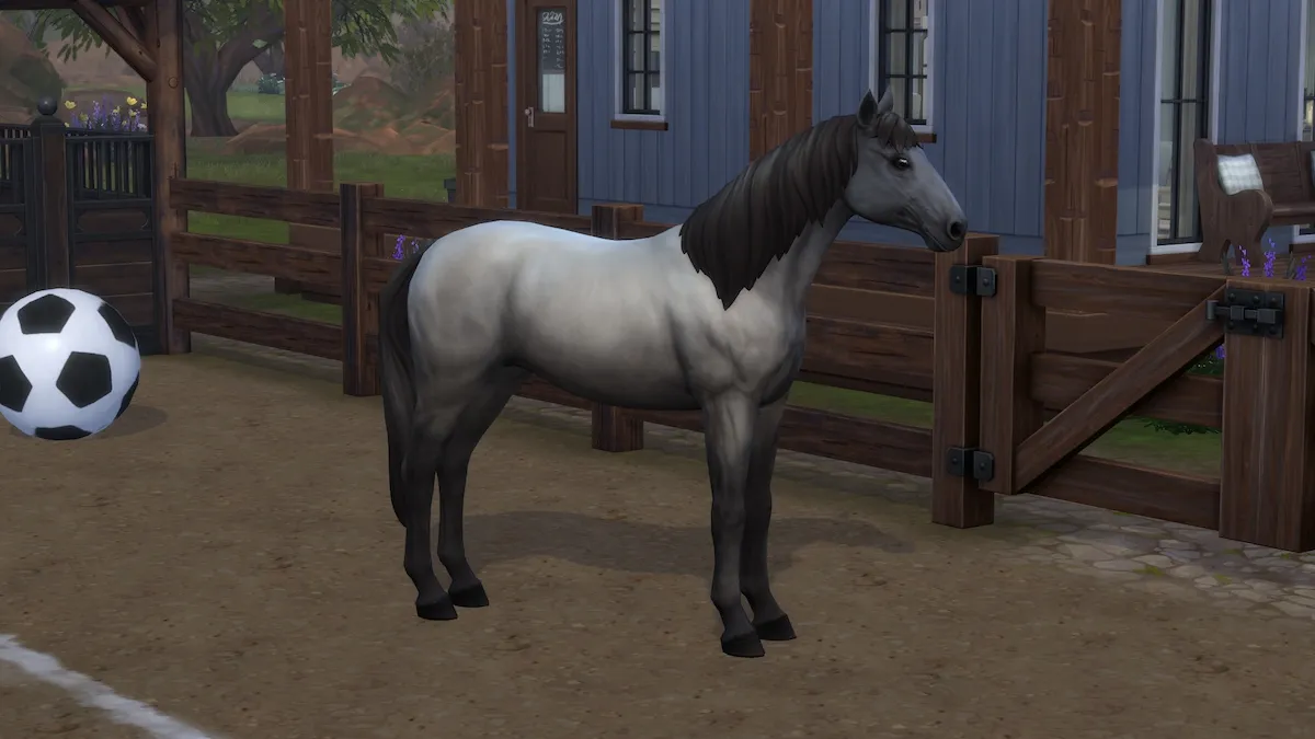 Realistic Horse Ts4