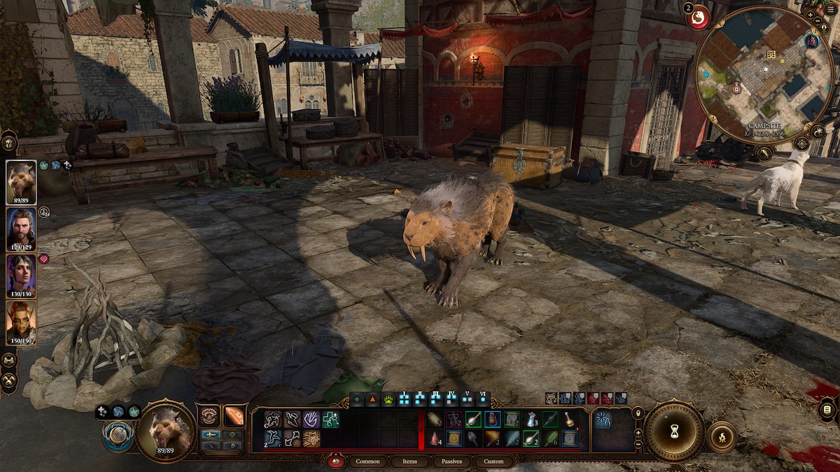 Baldur’s Gate 3 Druid guide Best Wild Shape animal transformations