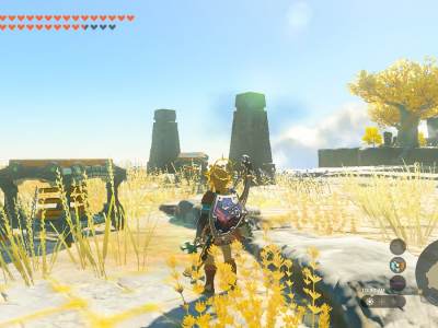 Tears Of The Kingdom Springs Sky Island