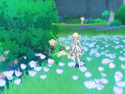 Where To Find And Farm Rainbow Roses In Genshin Impact
