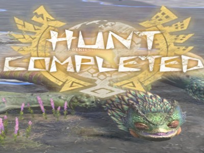 How to use Special Skill in Monster Hunter (MH Now)