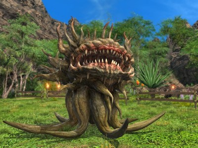 6.5 Island Sanctuary Animals