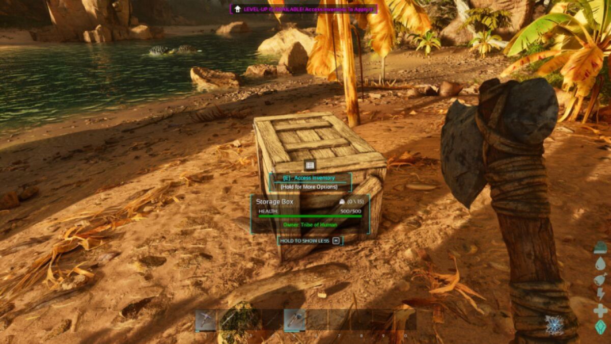 Ark Survival Ascended Storage Box