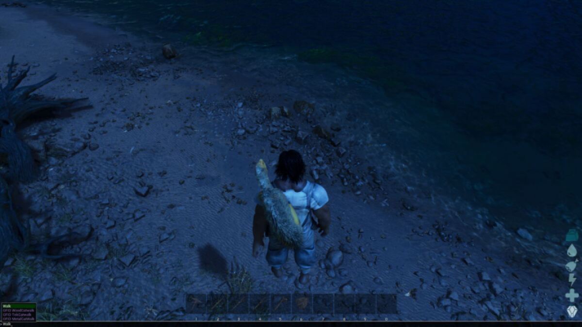 Как отключить Fly In Ark Survival Ascend
