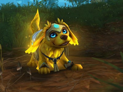 Sunny World Of Warcraft Ukraine Charity Pet
