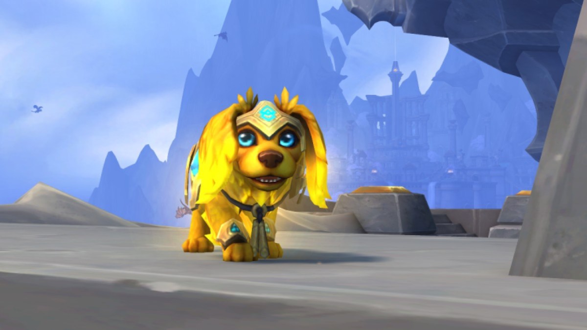 Sunny World Of Warcraft Pet