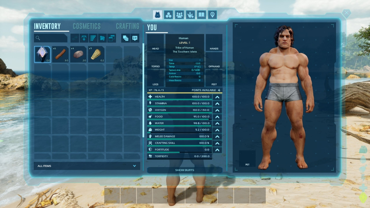Ark Survival Ascended Character Stats