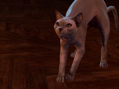 Baldurs Gate 3 Latest Hotfix Removes Shared Stash Among Other Issues