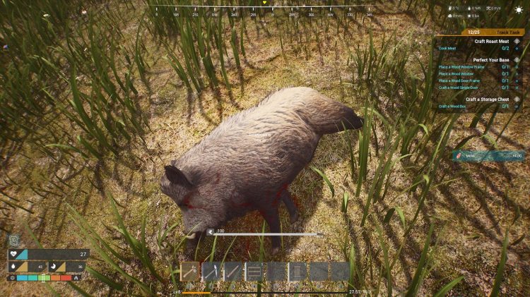 How To Find Food In The Front Animal Boar