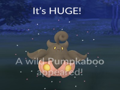 How to get Pumpkaboo in Pokemon Go - Can it be Shiny?