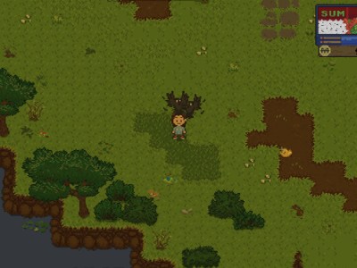 How To Resolve The Bird Attacks In Spirittea