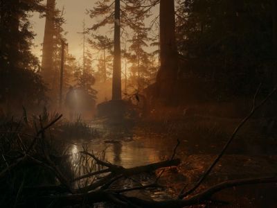 Saga Anderson Walks Through A Forest In Alan Wake 2