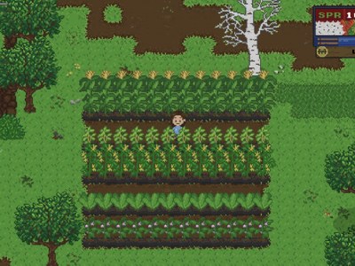 Spirittea How To Catch The Carrot Garden Thief