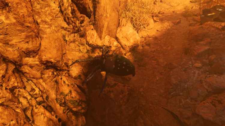 Аранео в Ark Survival Ascend