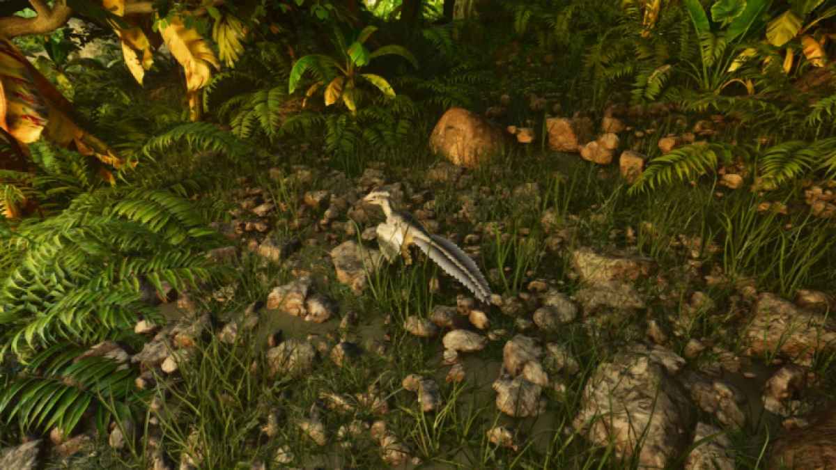 Archaeopteryx In Ark Survival Ascended