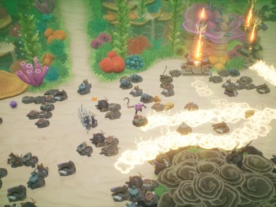 Coral Island All King Scallop Locations