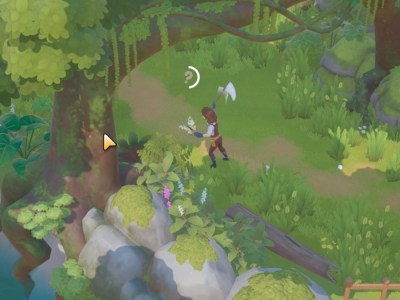 Coral Island How To Catch The Yucca Moth