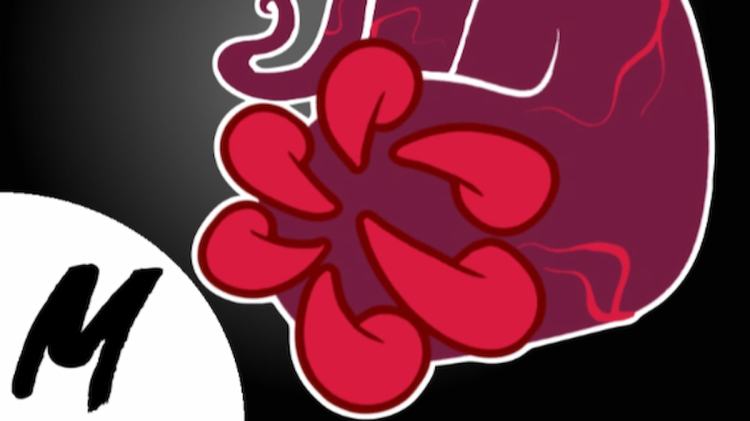 Сангвиническое искусство в Blox Fruits