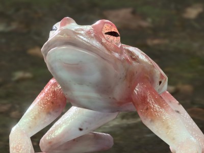 Addled Frog Baldur's Gate 3 Bg3