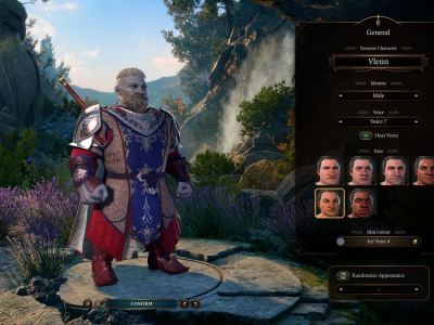 Best Paladin Feats In Baldur's Gate 3