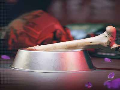 Modern Warfare 3 Dog Bone Featured Image