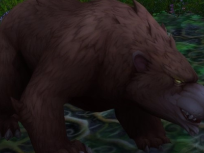 Elder Ashvale Bear