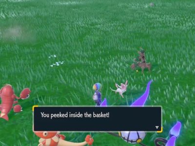 Has Anyone Elses Picnic Table Turned Invisible V0 Ypxlas9keppb1