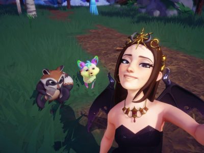 How To Feed Raccoons