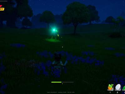 Rainbow Firefly In Lego Fortnite